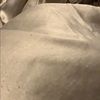 amyahwilson